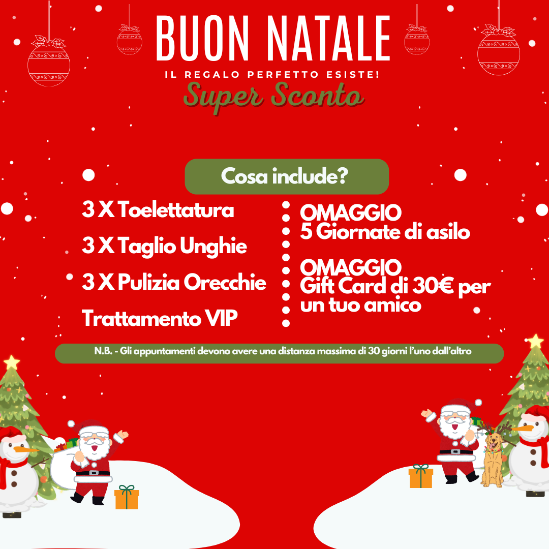 ABBONAMENTO PROMO NATALE