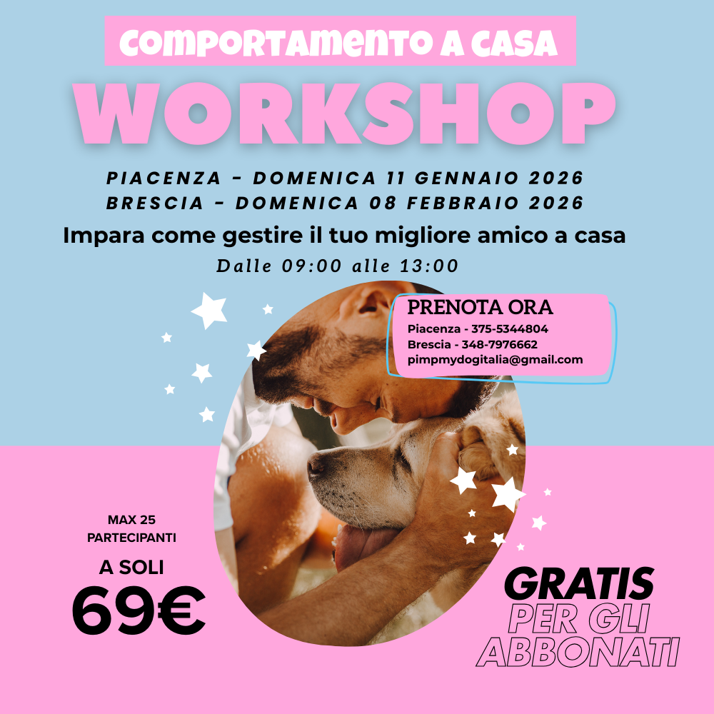 Workshop - Giornata Formativa