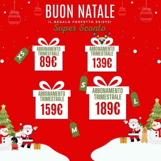 ABBONAMENTO PROMO NATALE