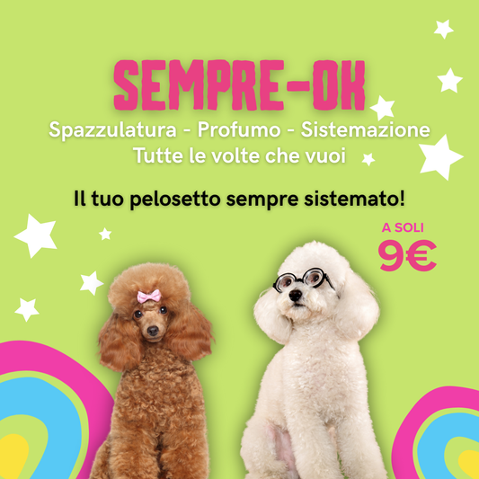 Sempre Ok